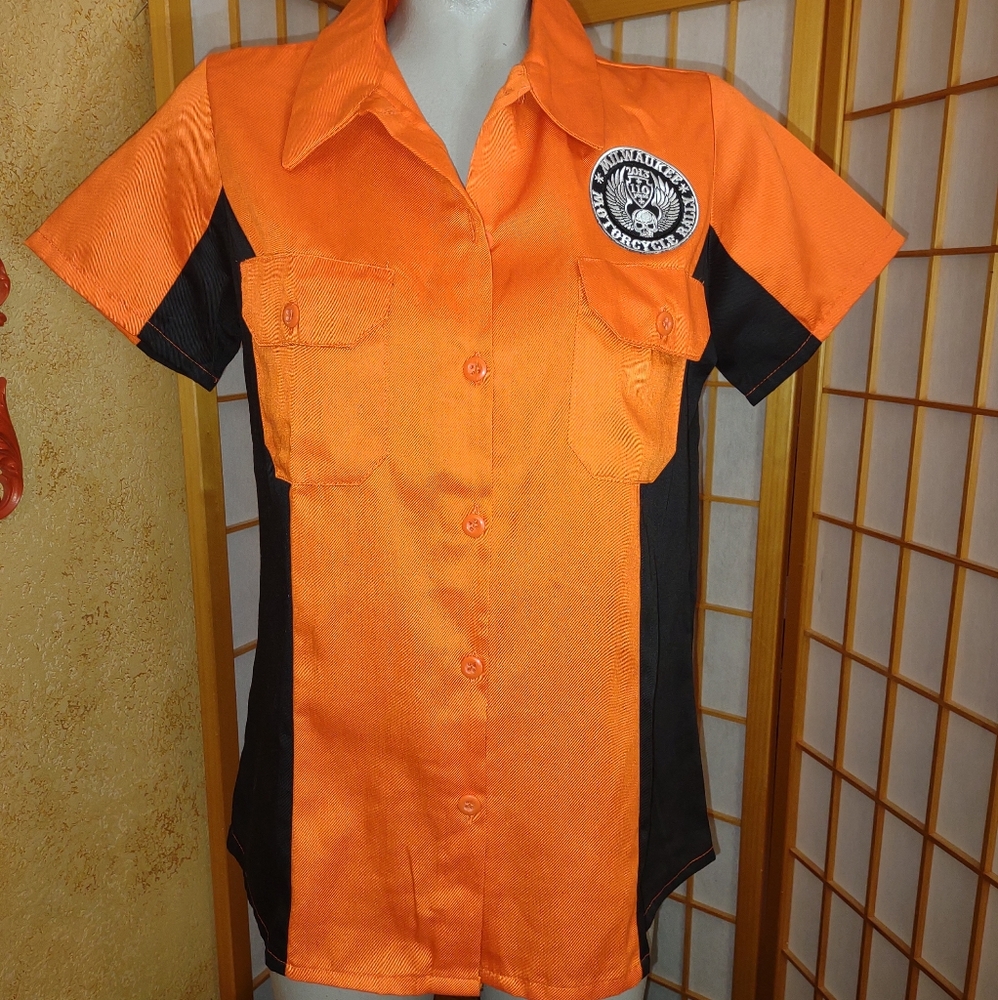 110th Milwaukee motorcycle rally shirt, NEW without tags, large